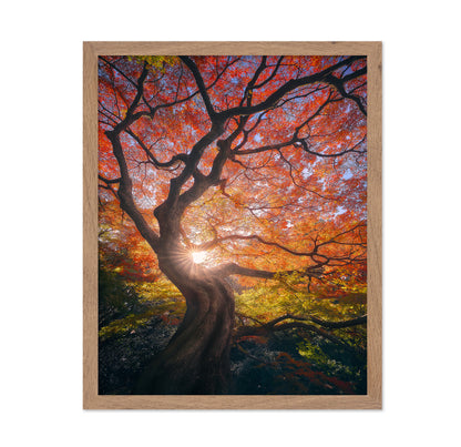 The Japanese Tree