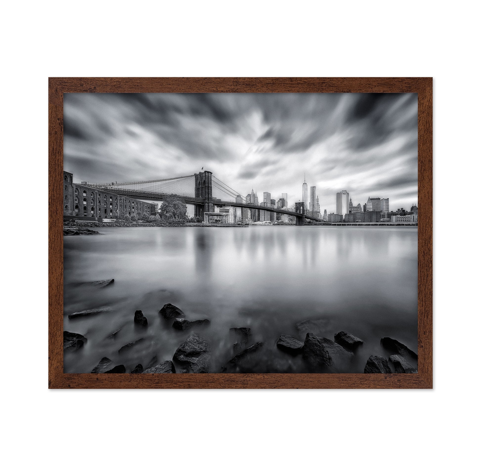 Dumbo View