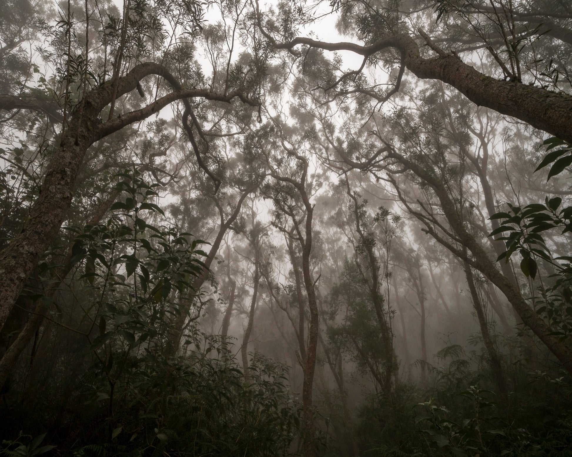 Heart of Darkness