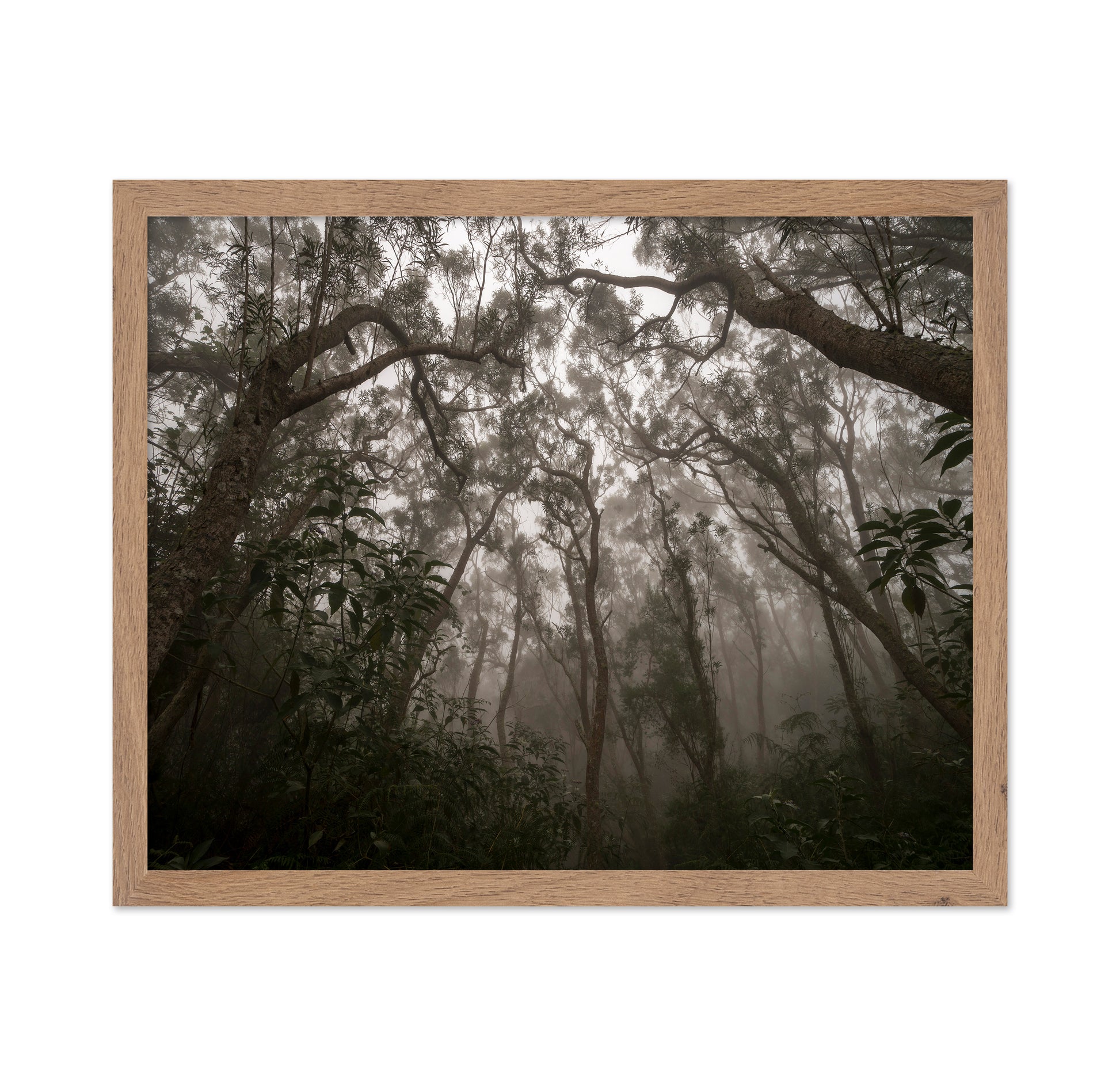Heart of Darkness