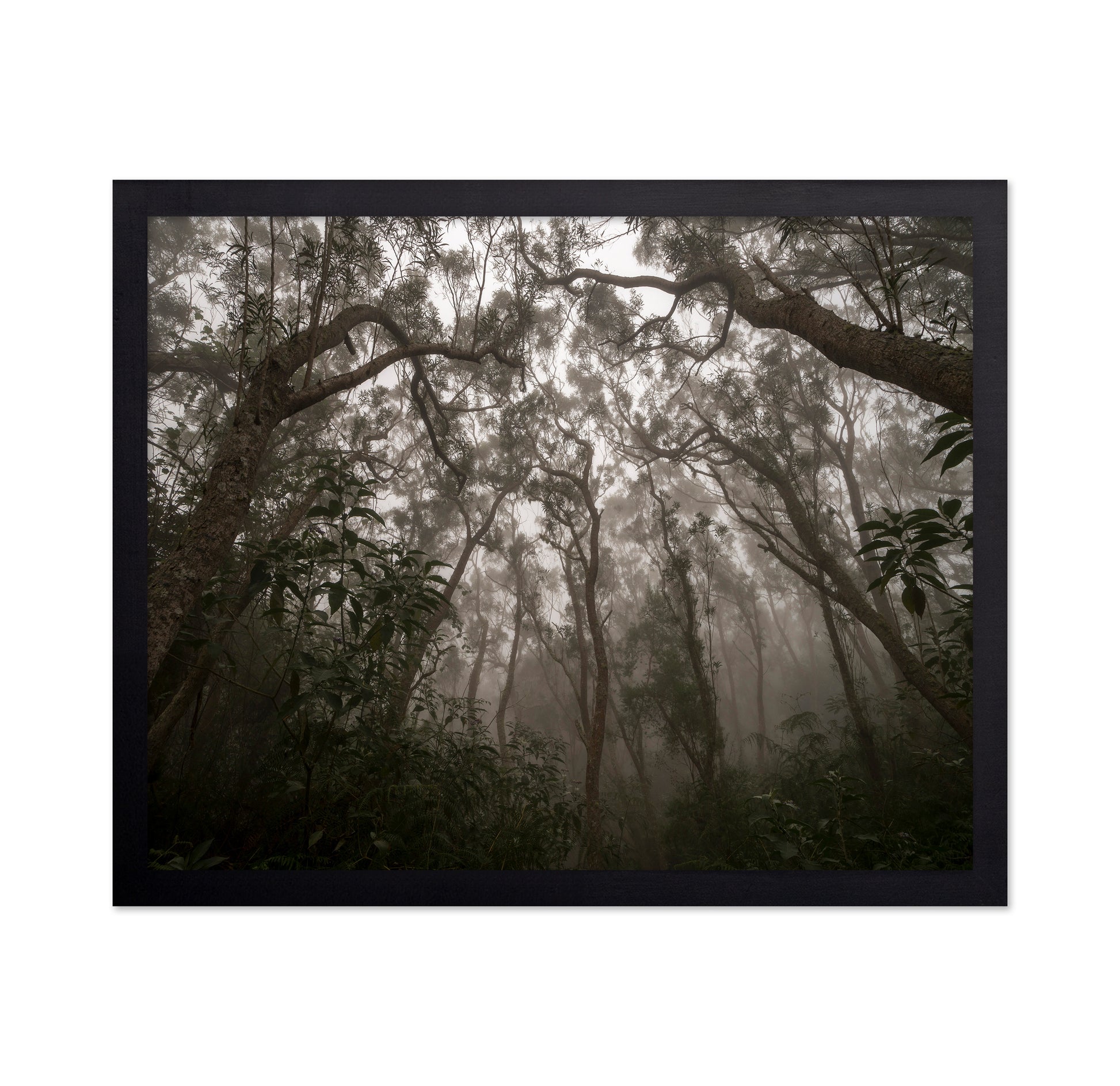 Heart of Darkness