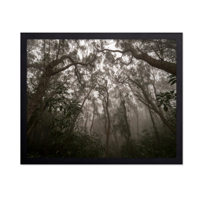 Heart of Darkness