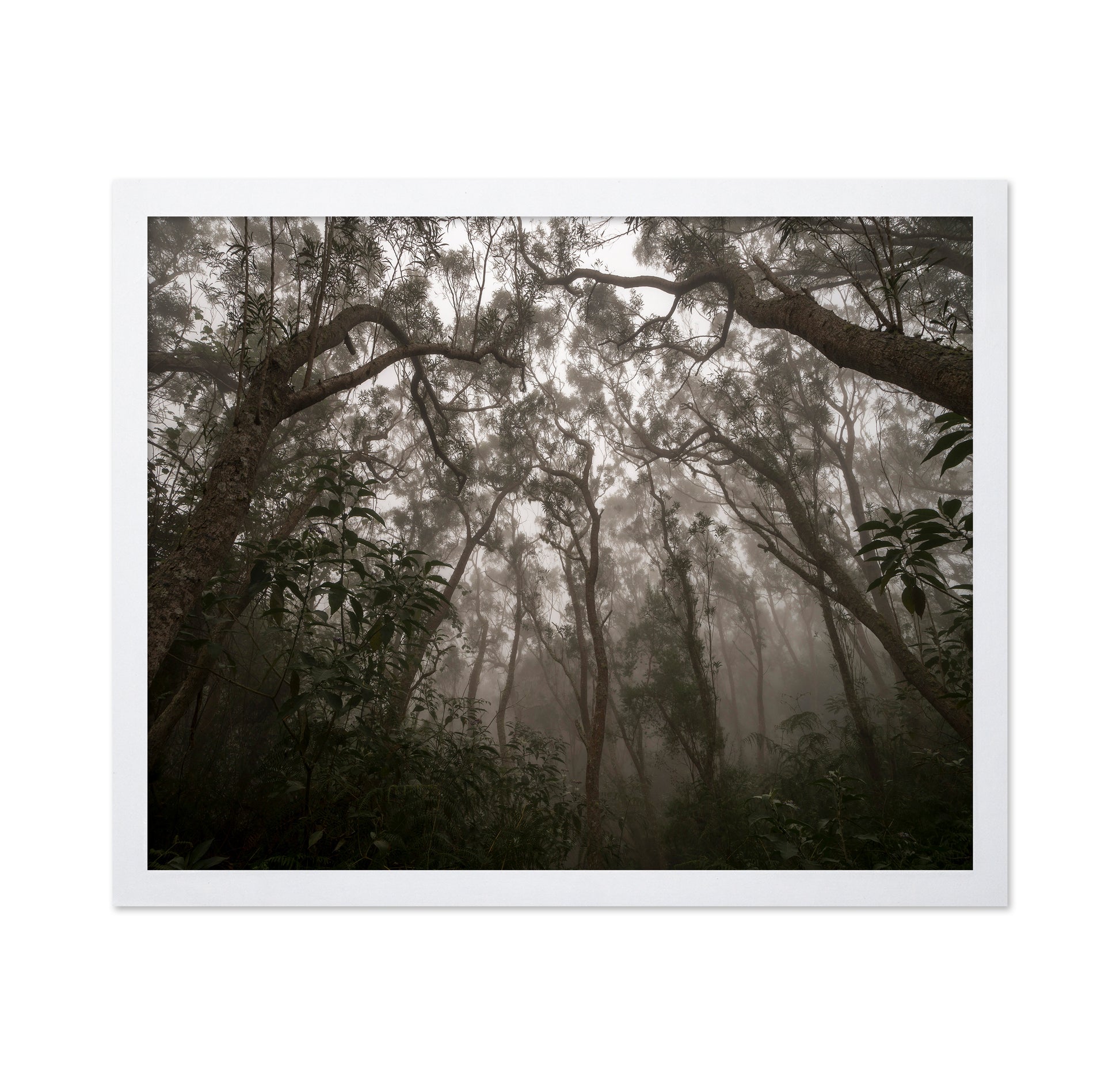 Heart of Darkness