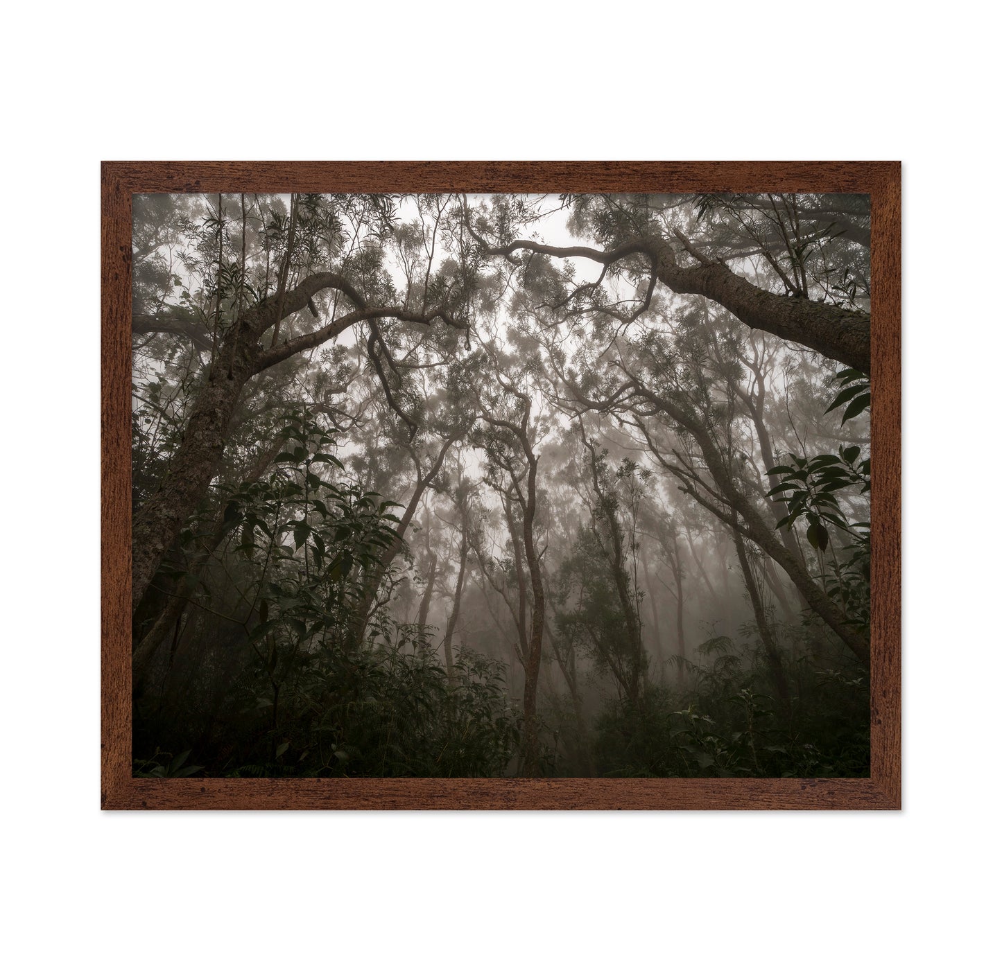Heart of Darkness