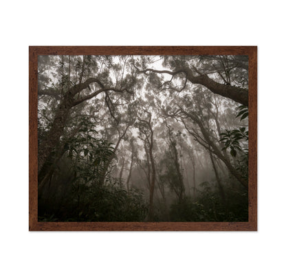 Heart of Darkness