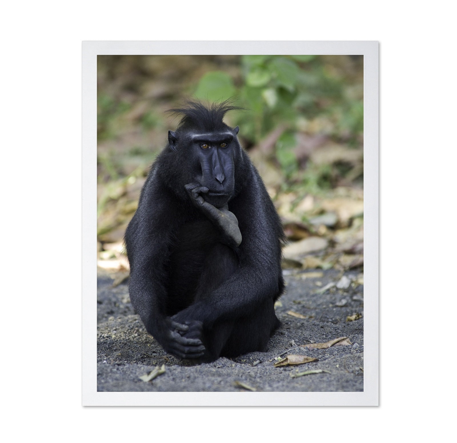 The Thinker