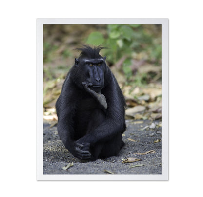 The Thinker