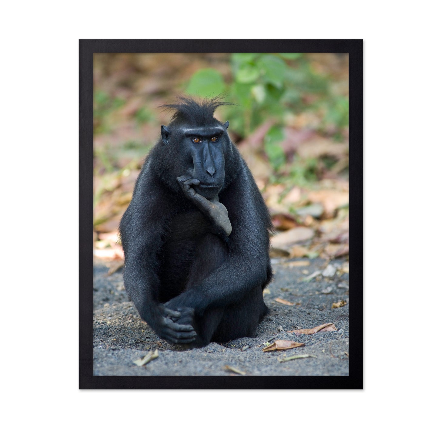 The Thinker