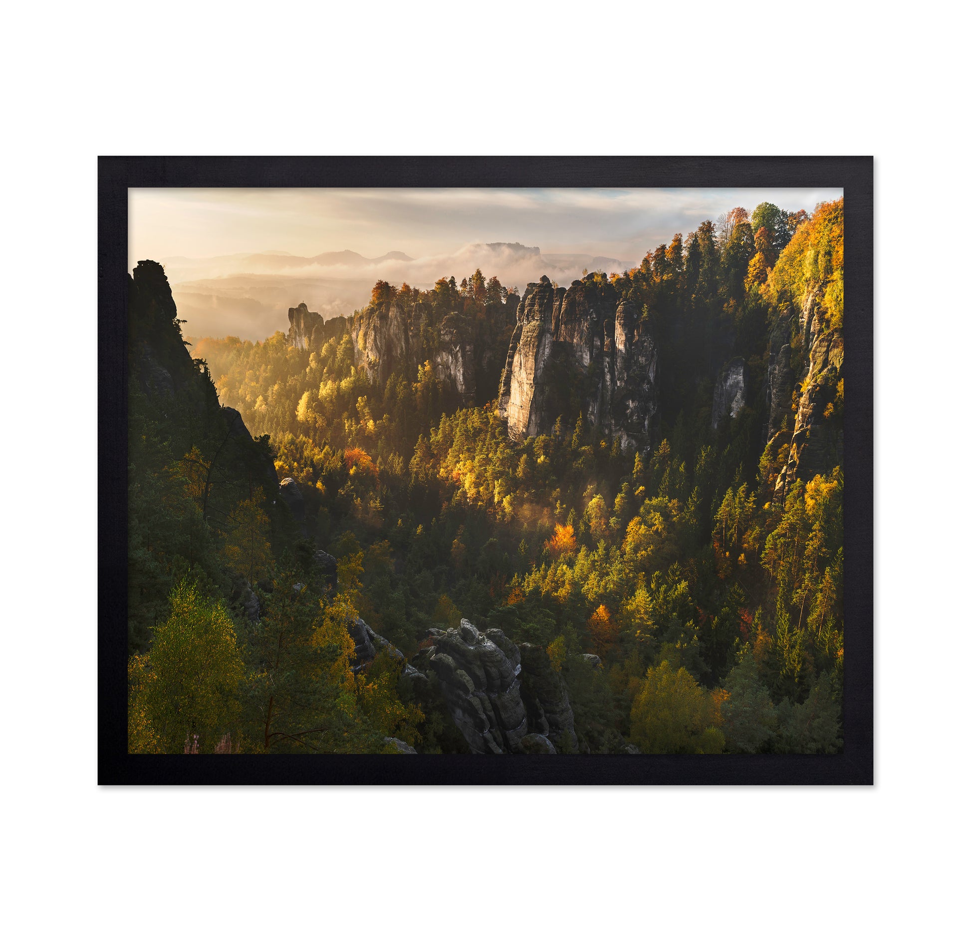 Forest Whispers