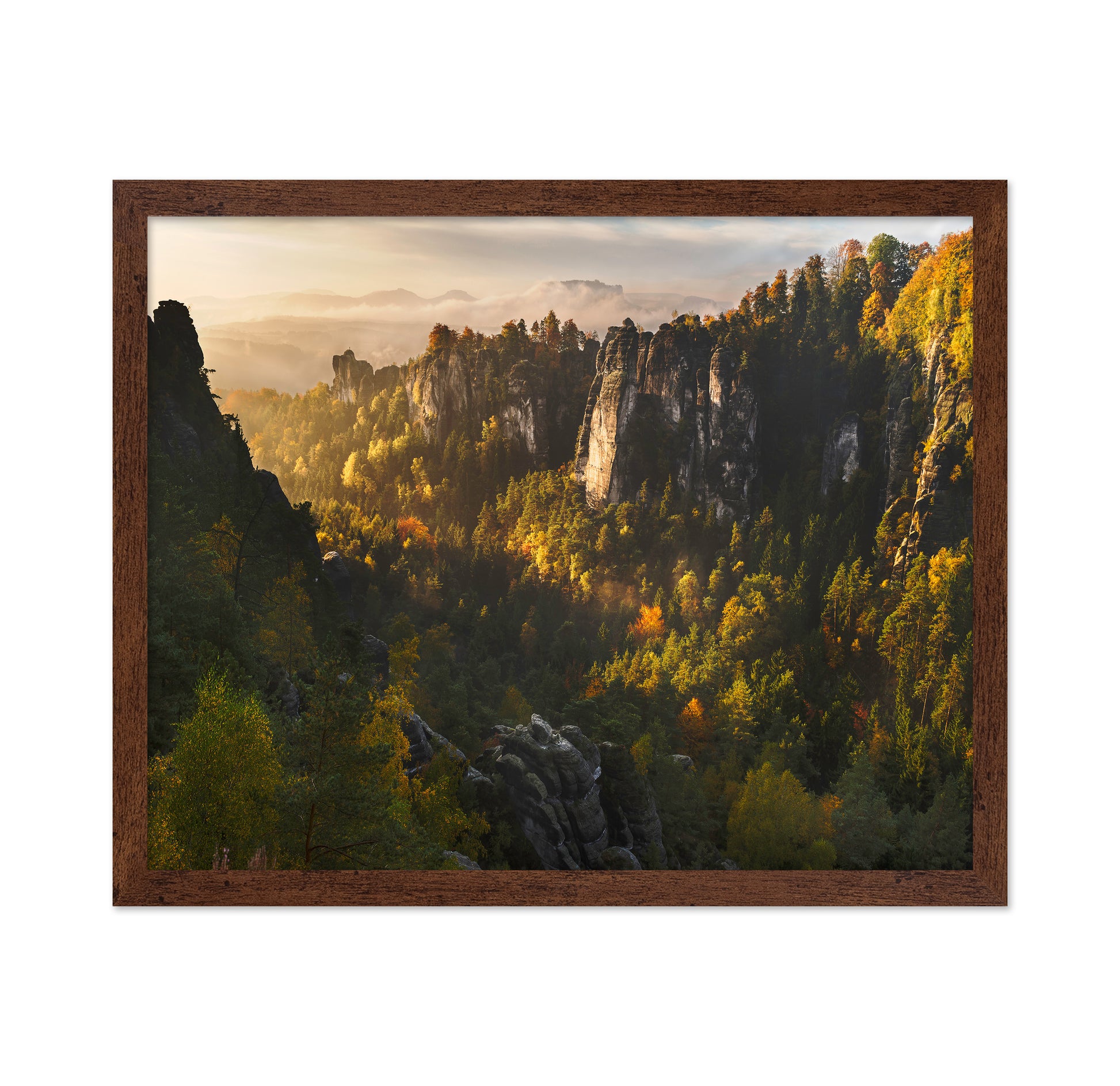 Forest Whispers