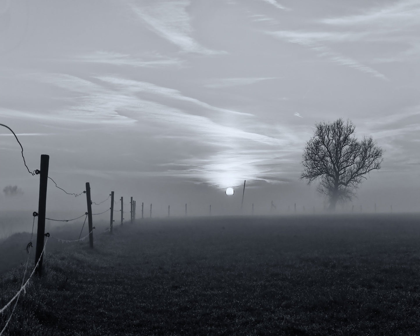 On A Misty Morning in March