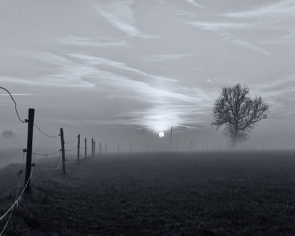 On A Misty Morning in March