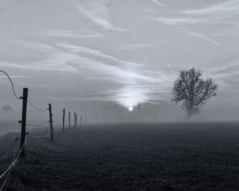 On A Misty Morning in March
