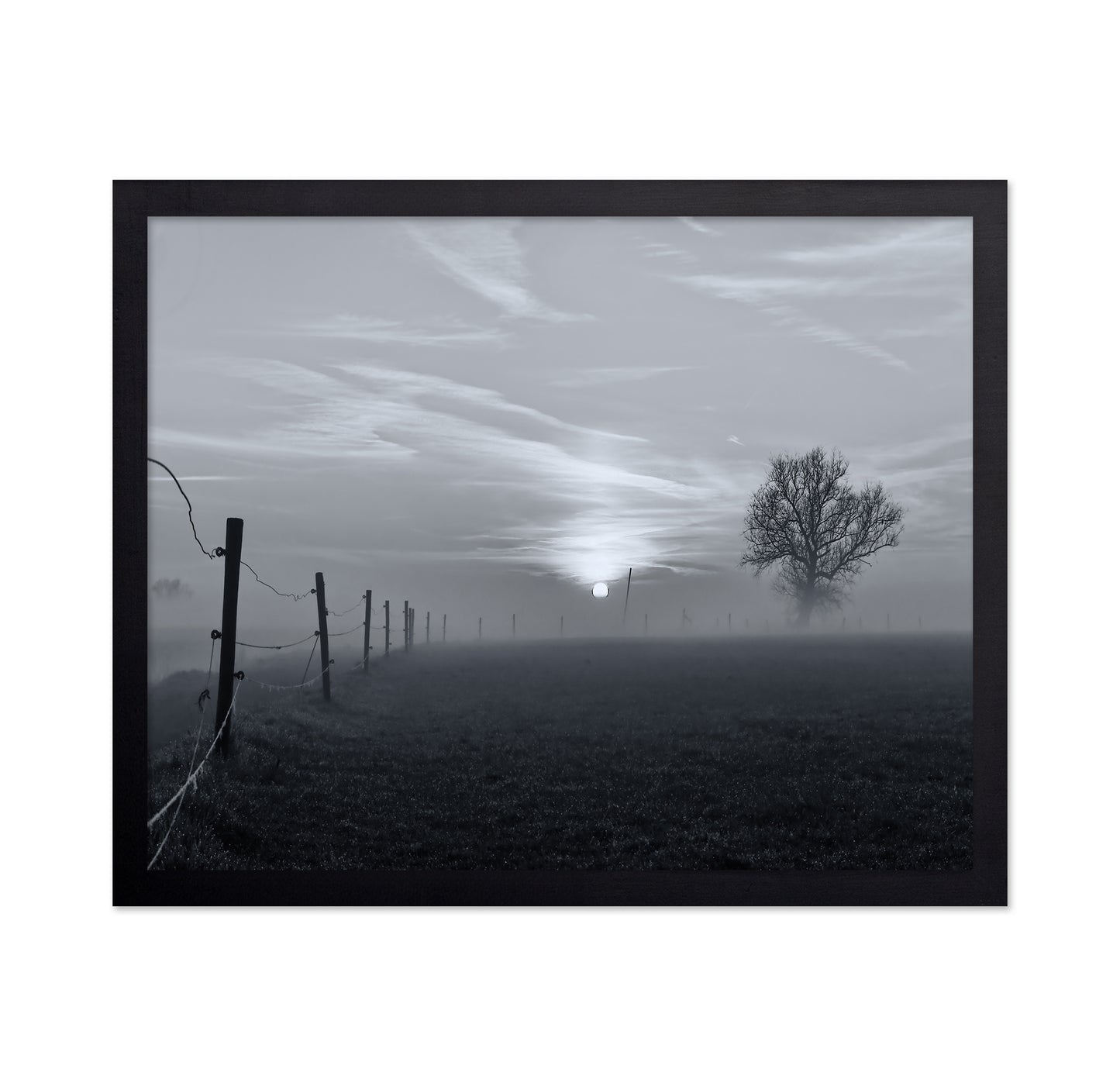 On A Misty Morning in March