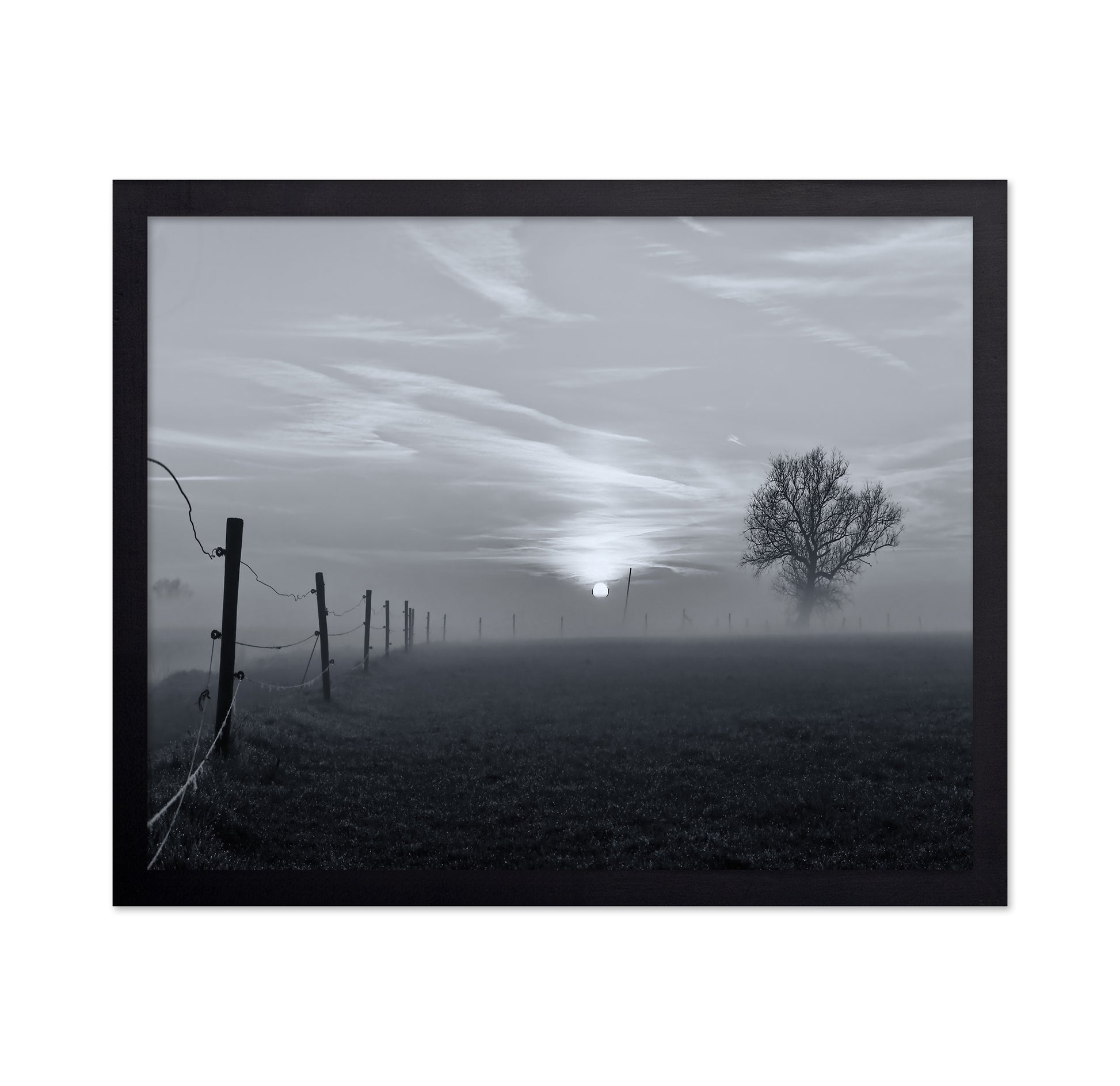 On A Misty Morning in March