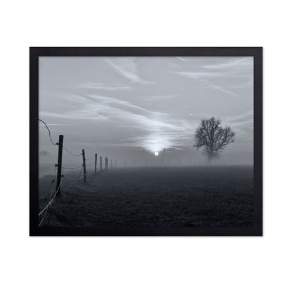 On A Misty Morning in March