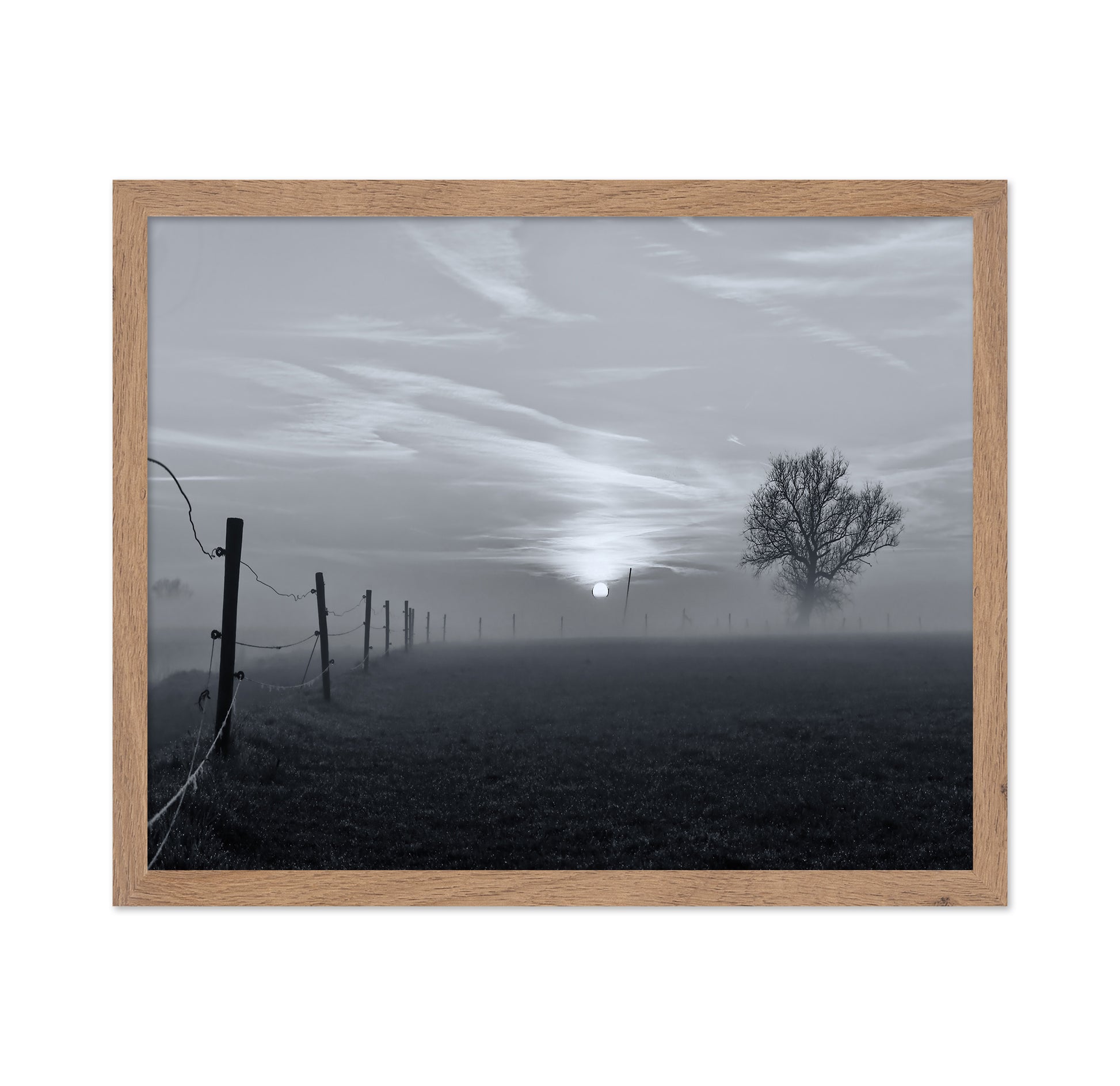 On A Misty Morning in March