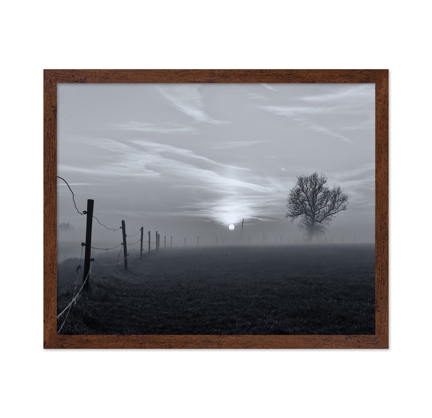 On A Misty Morning in March