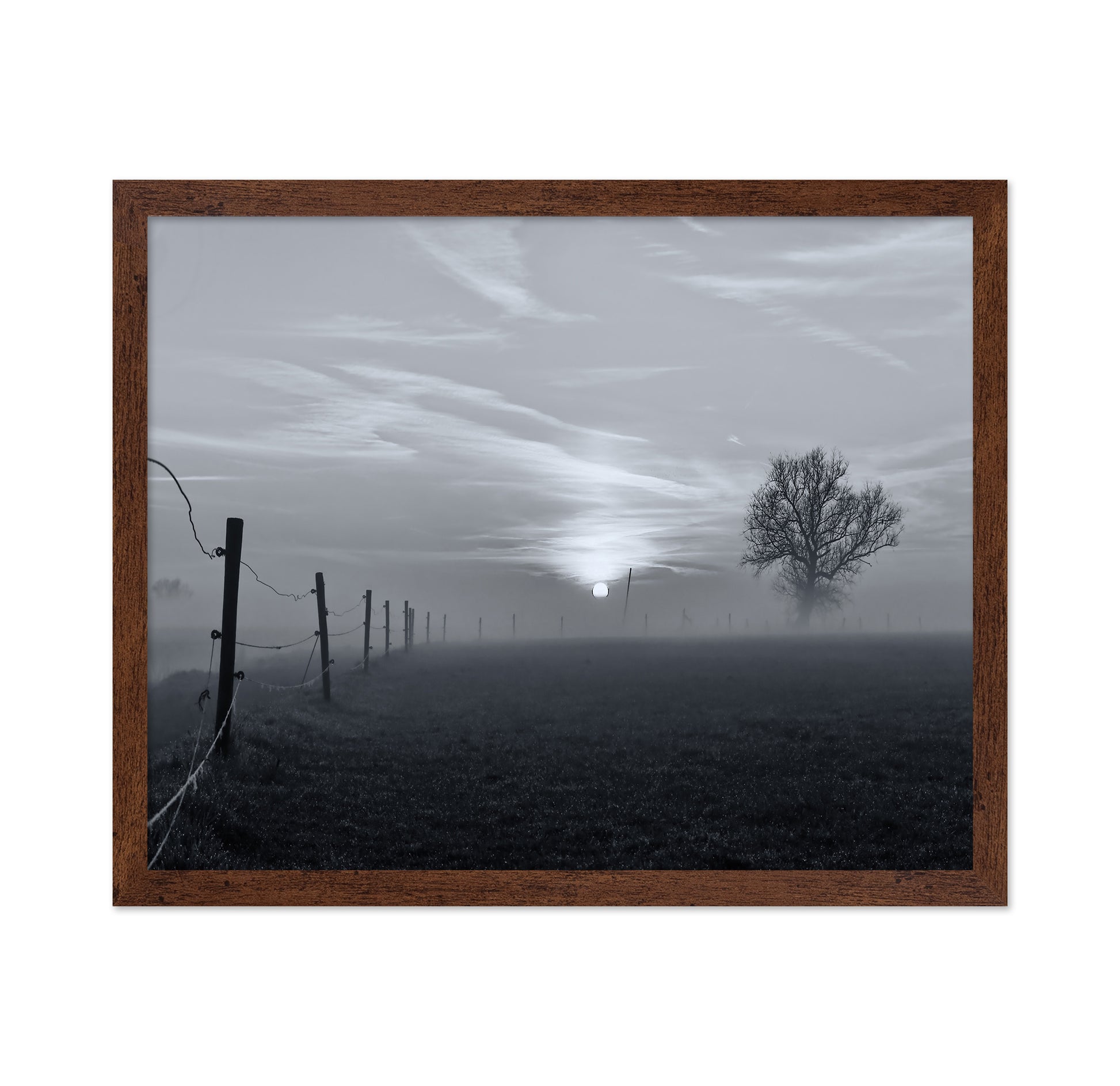 On A Misty Morning in March