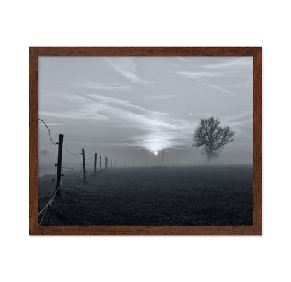 On A Misty Morning in March