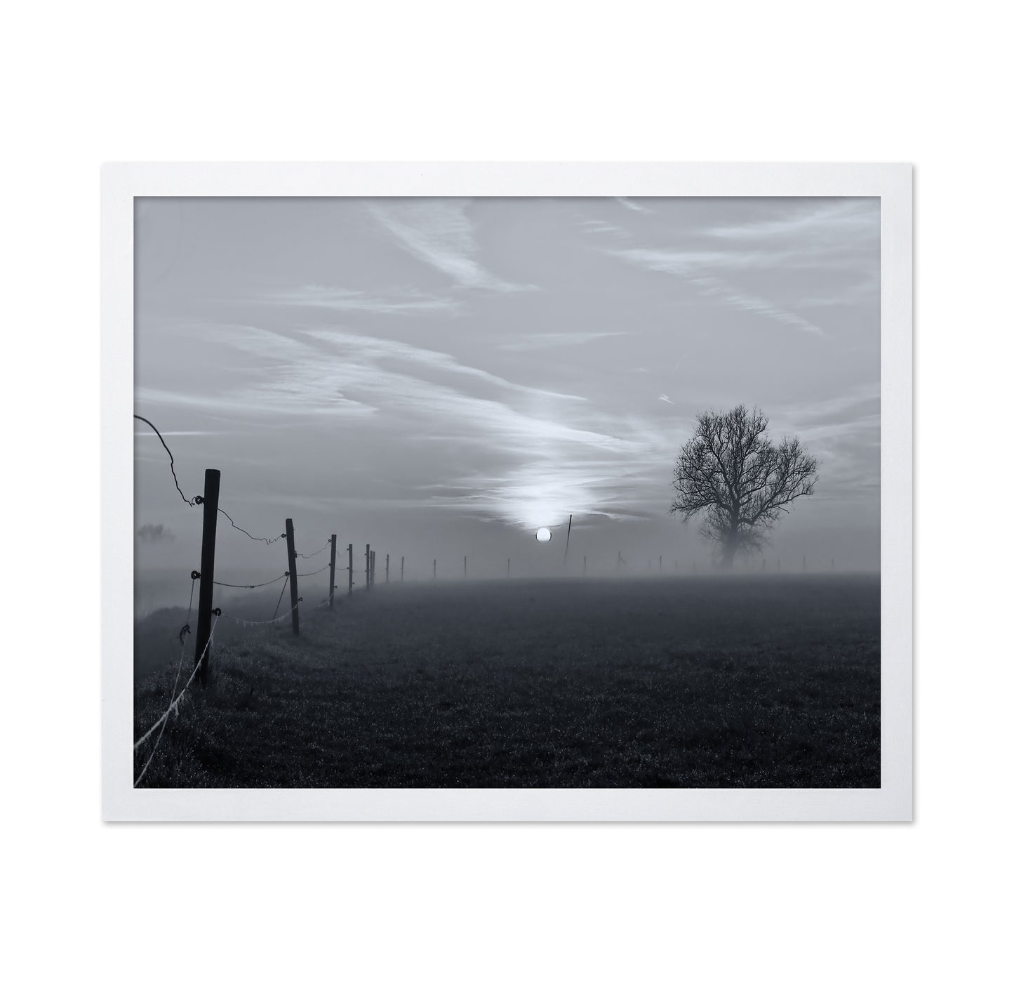 On A Misty Morning in March