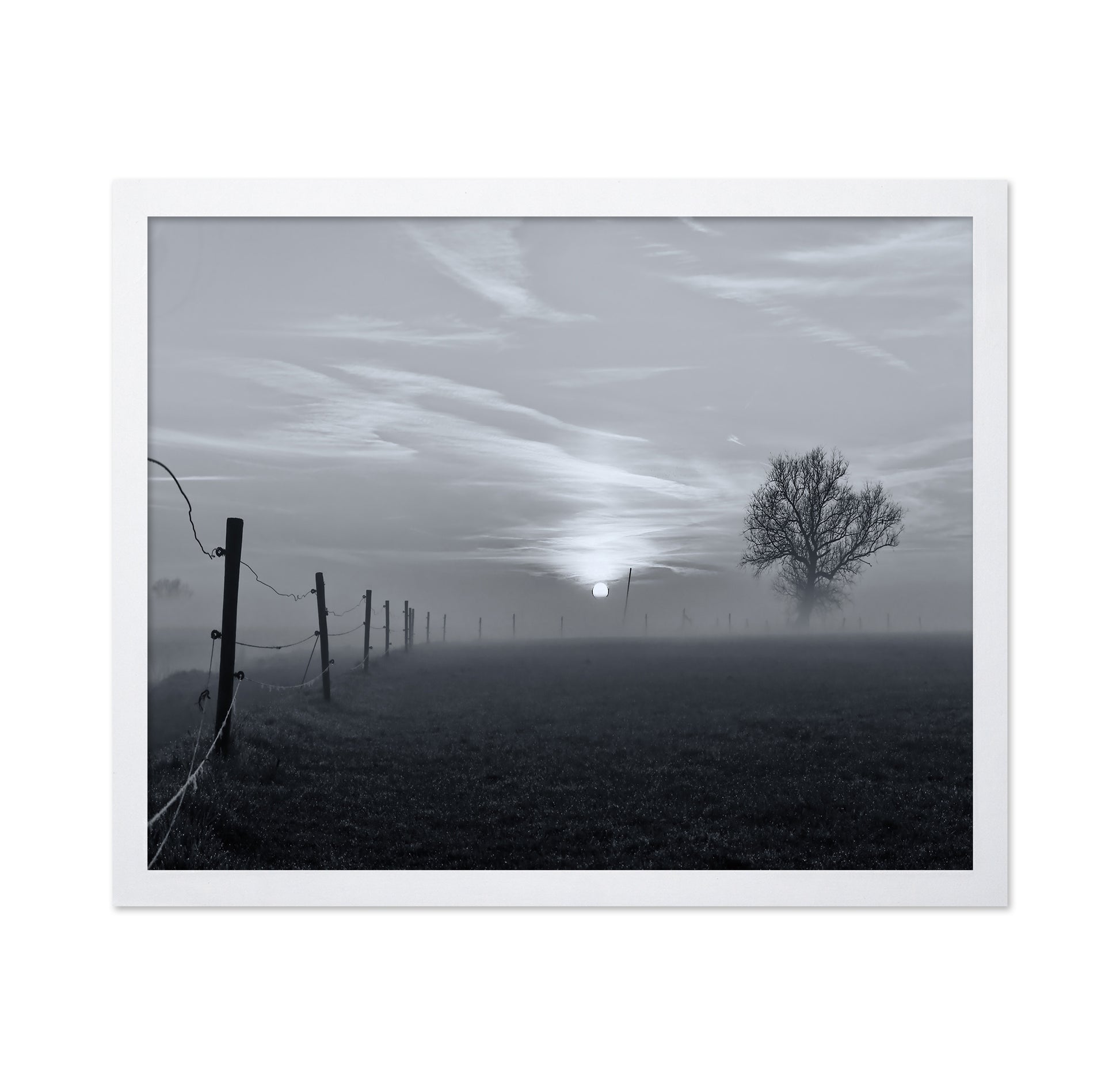 On A Misty Morning in March