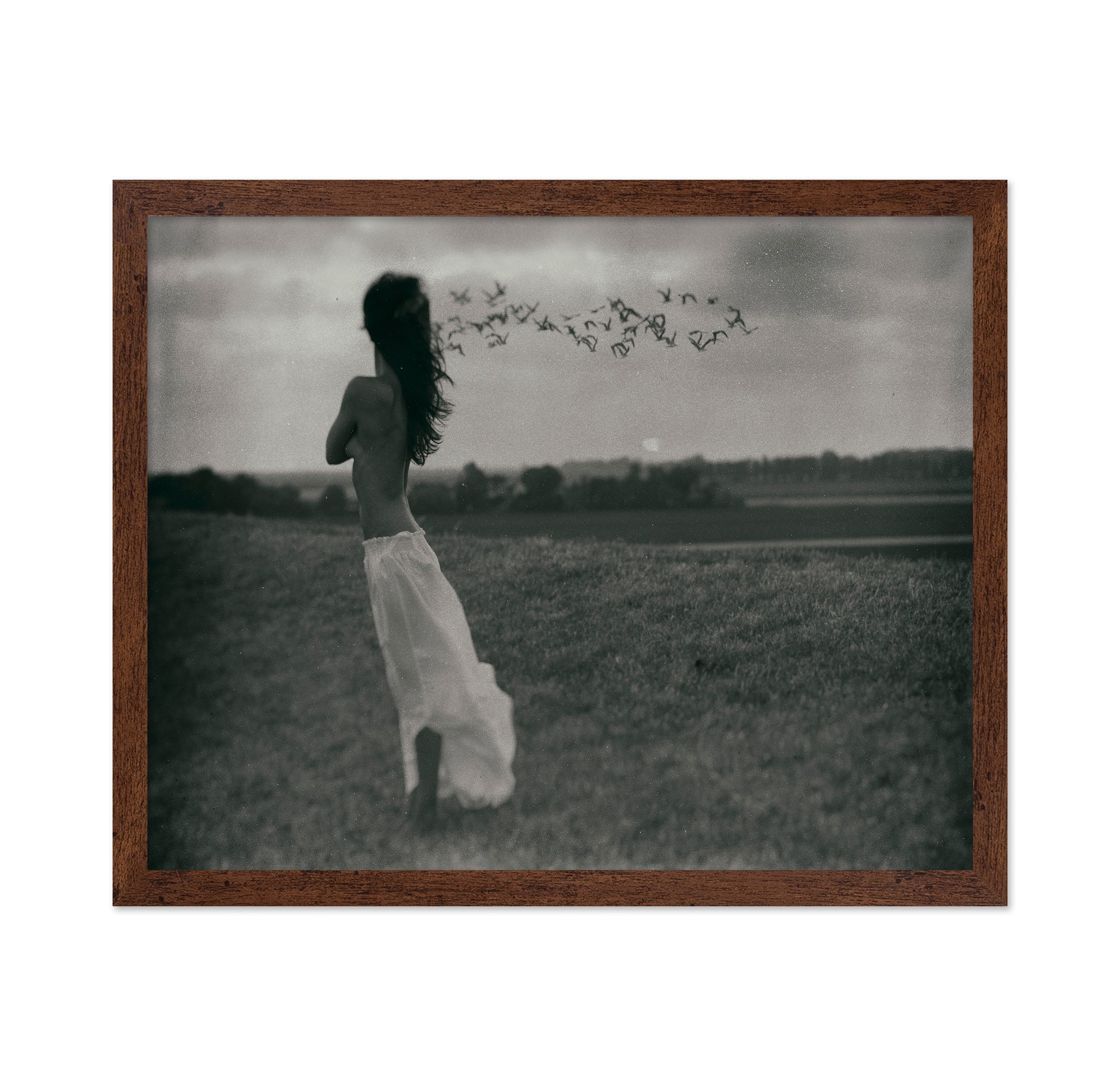 And The Wind Cries Mary