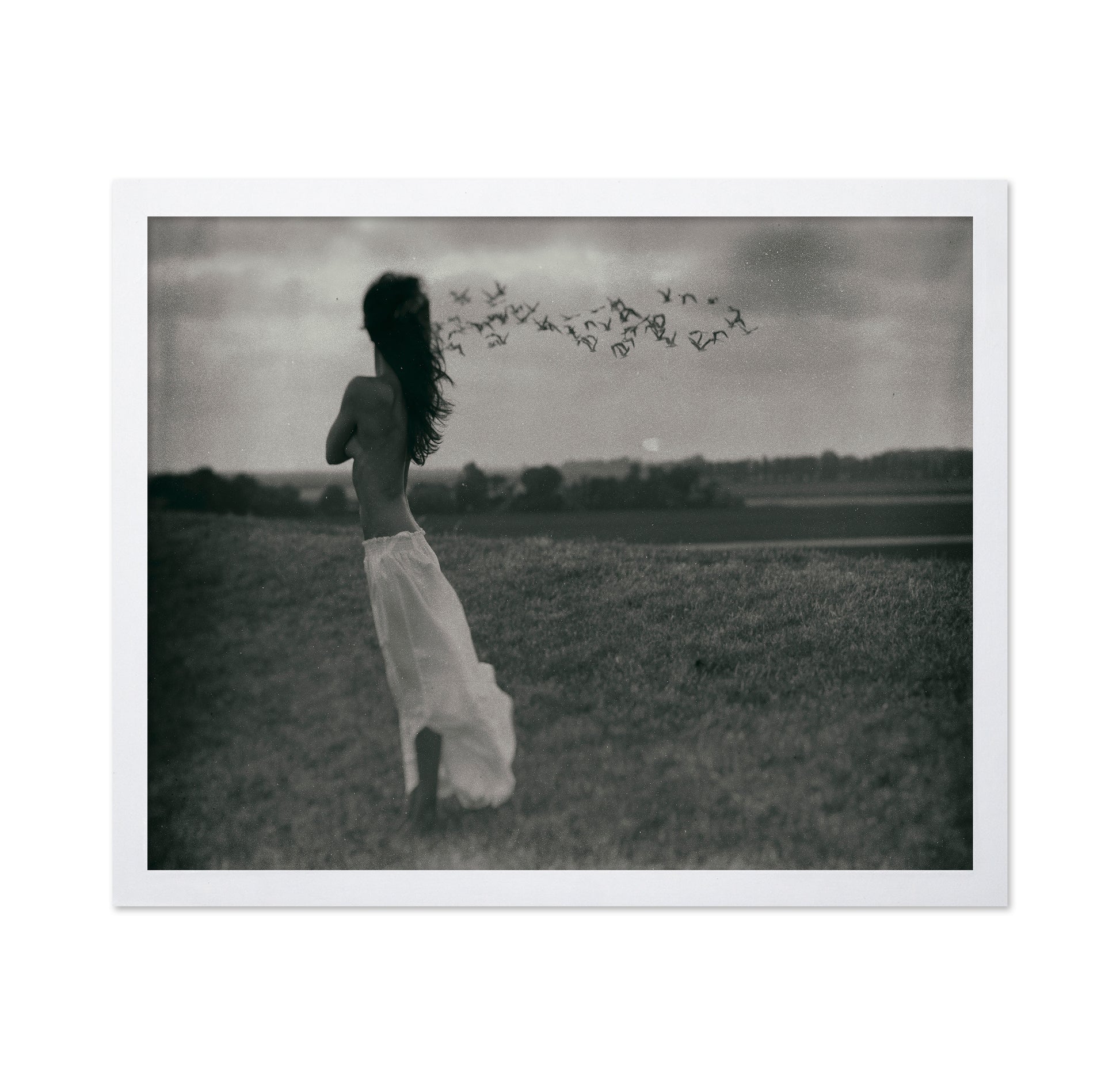 And The Wind Cries Mary