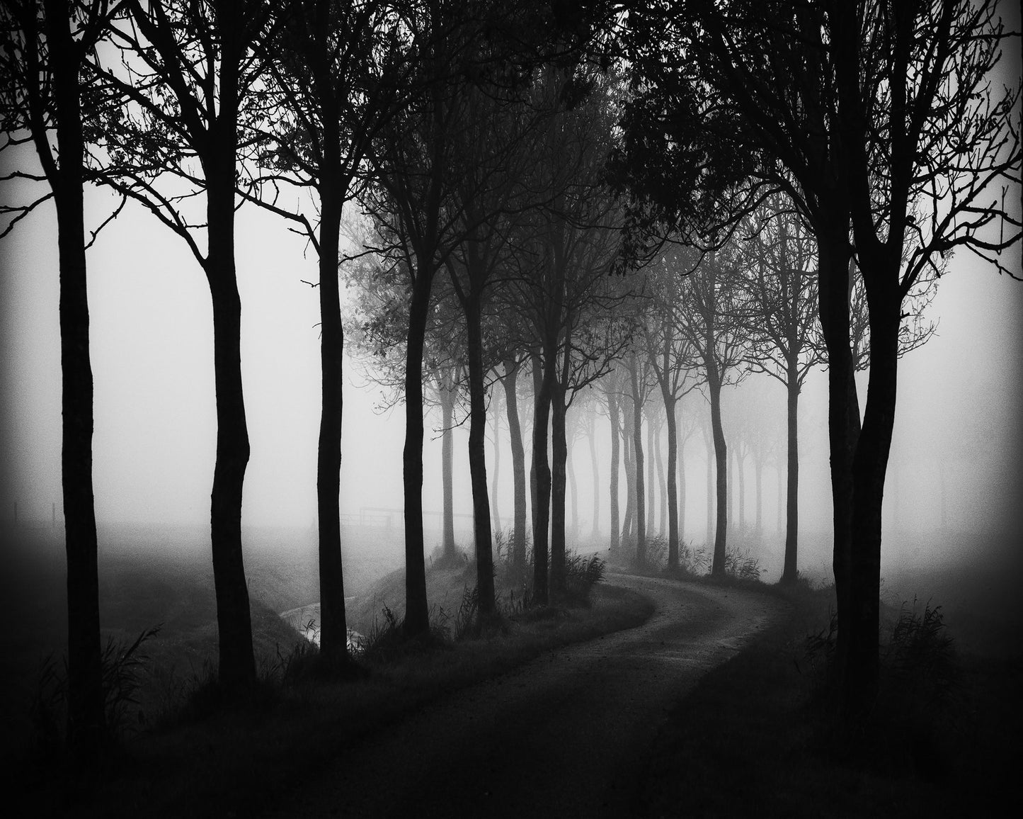 My Way Home
