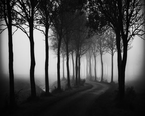 My Way Home
