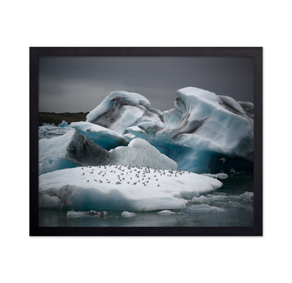 In the Land of Fire and Ice
