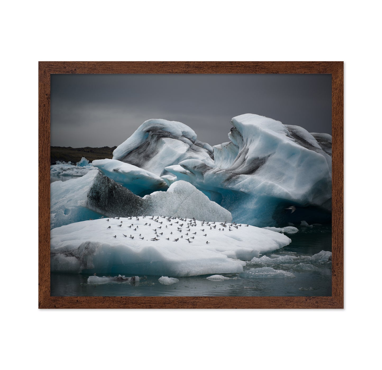 In the Land of Fire and Ice