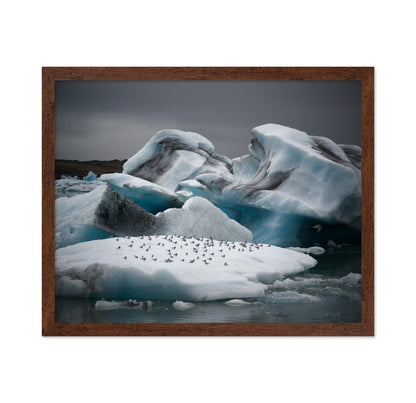 In the Land of Fire and Ice