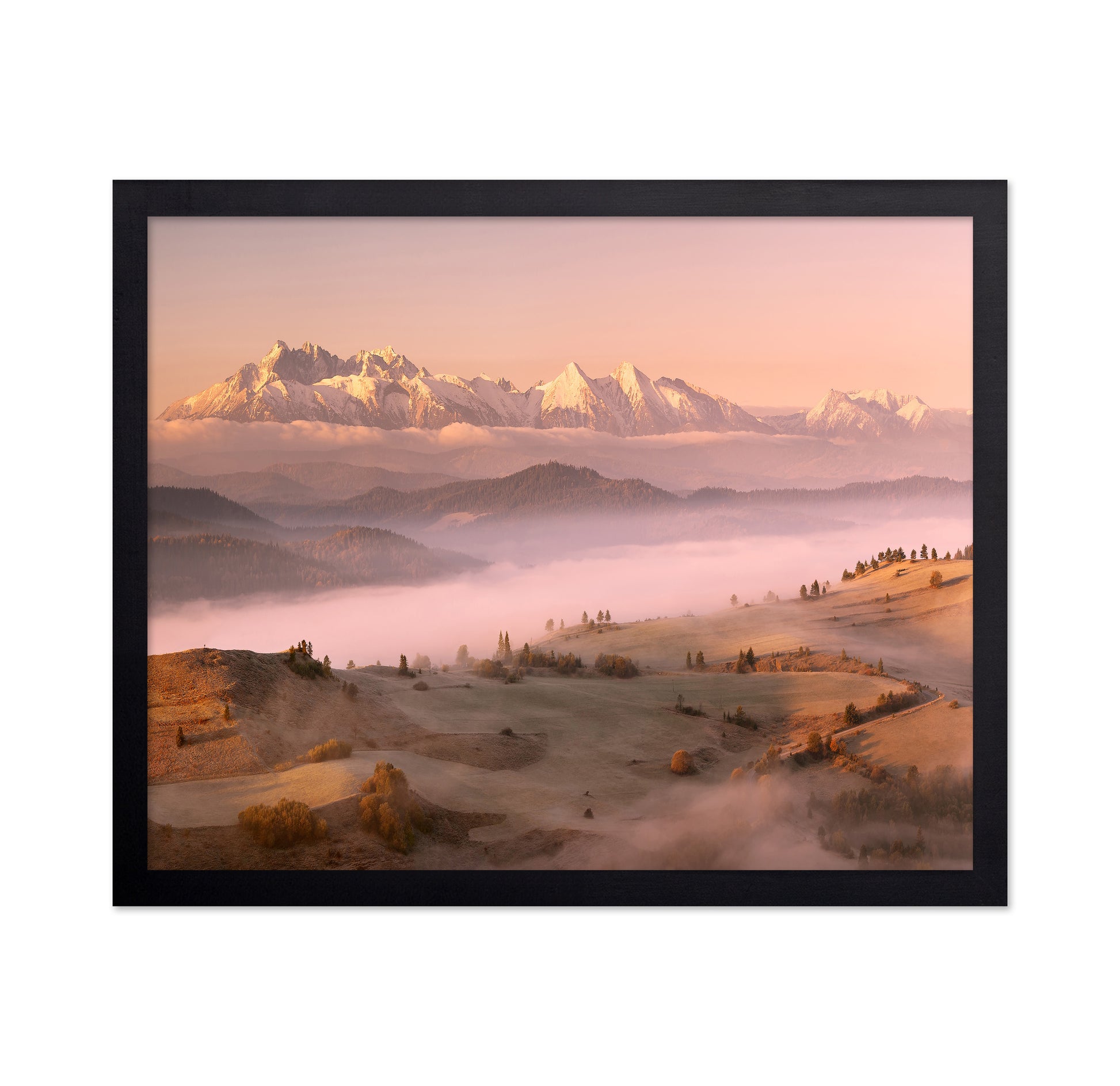 Misty Morning in the Tatras