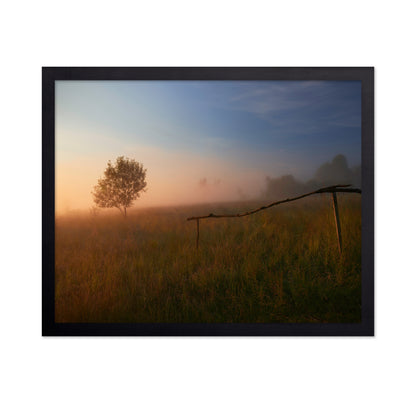 The Summer Field