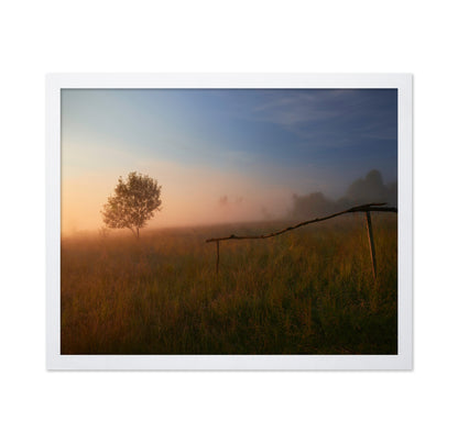 The Summer Field