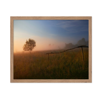 The Summer Field