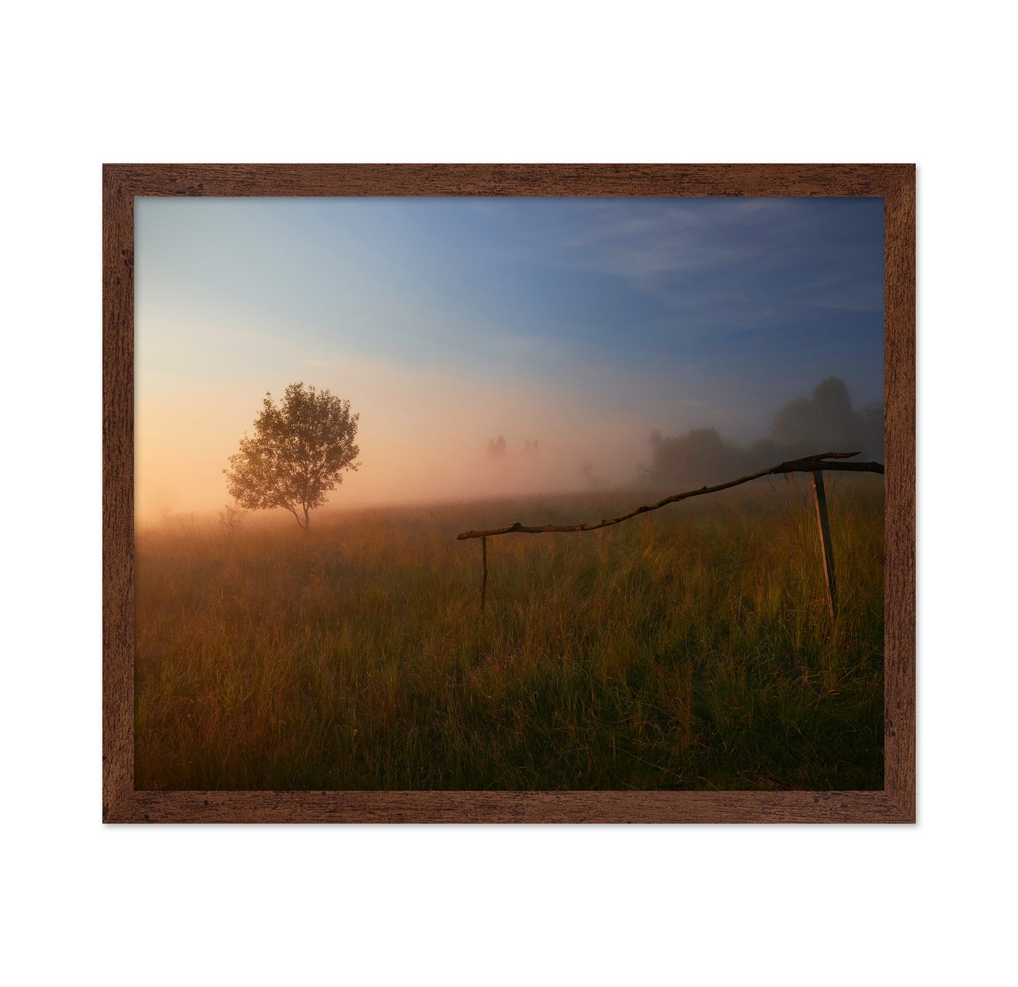 The Summer Field