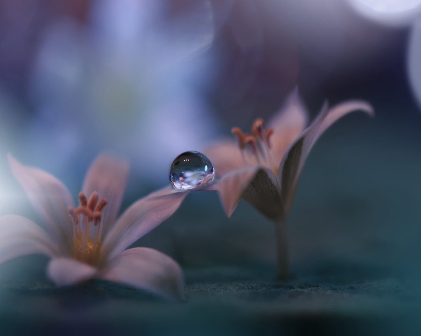 Invisible Soul