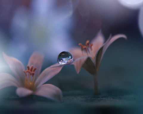 Invisible Soul