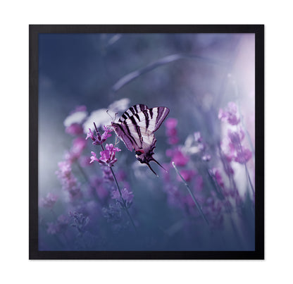 Lavender Queen