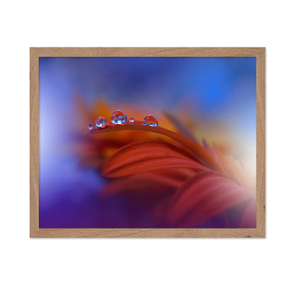 Metamorphosis No 2