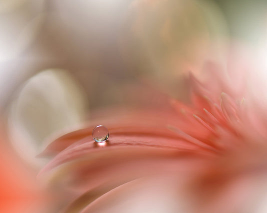 Light Touch No 2