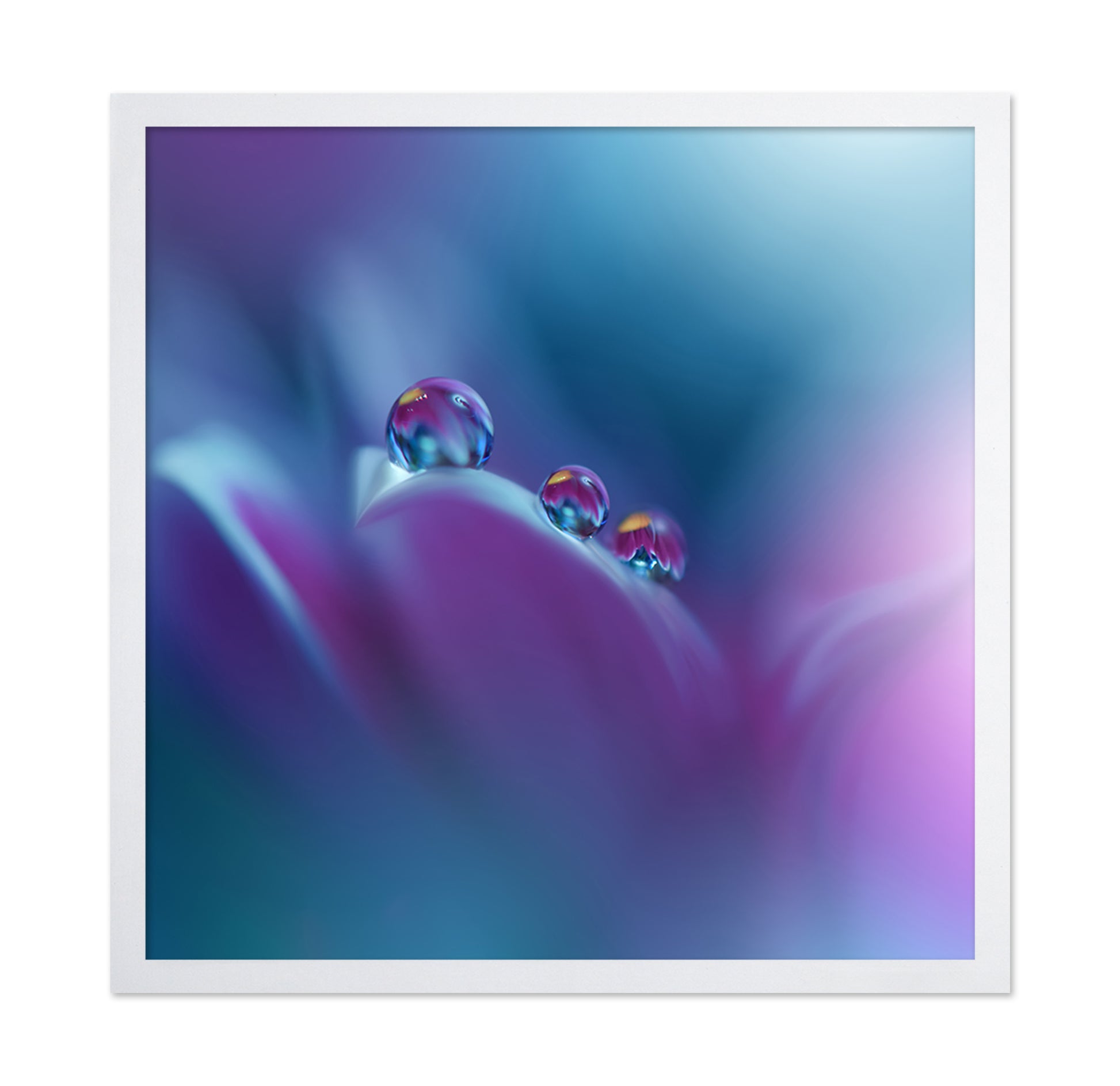 Flower Mist