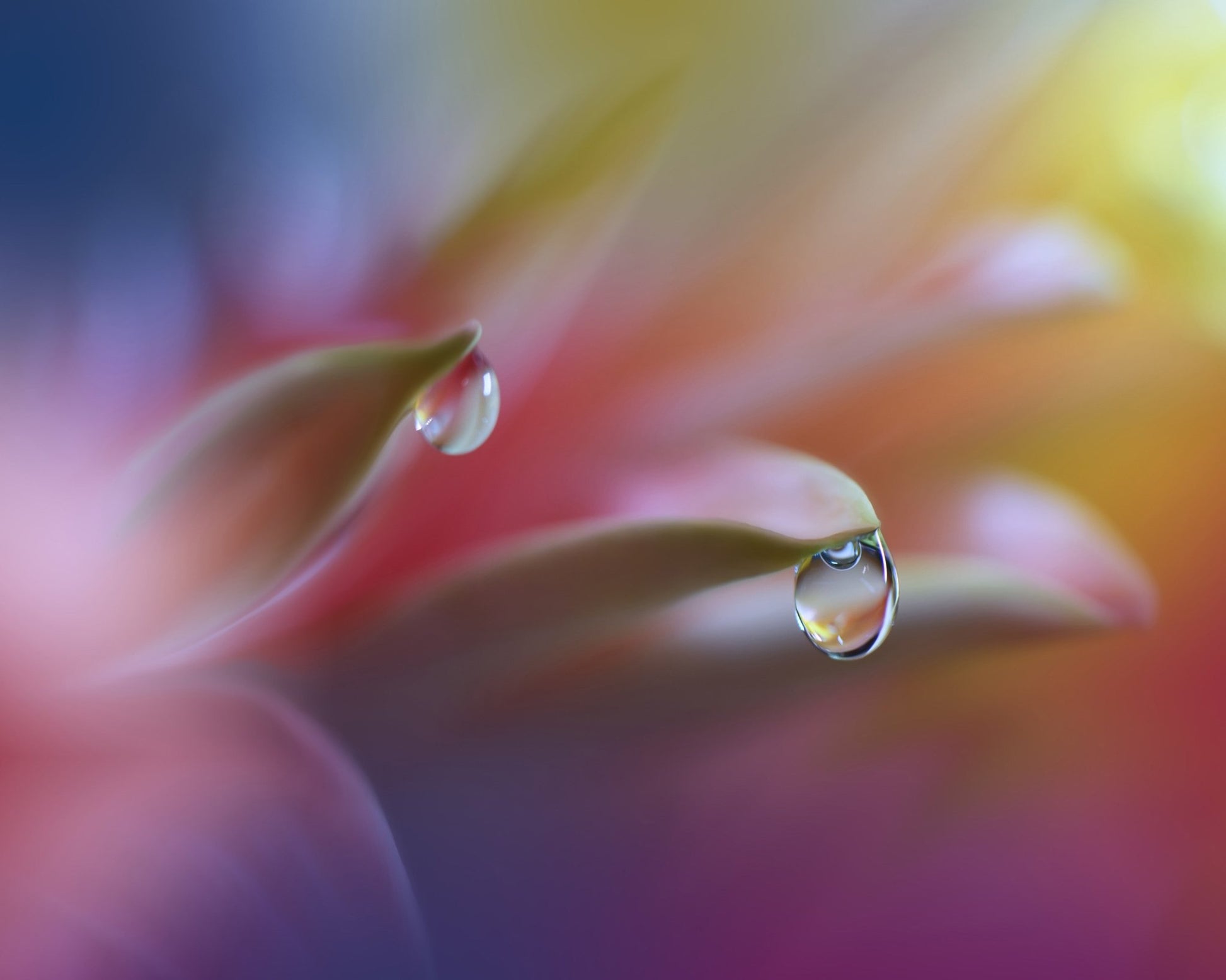 Sound Of Colors