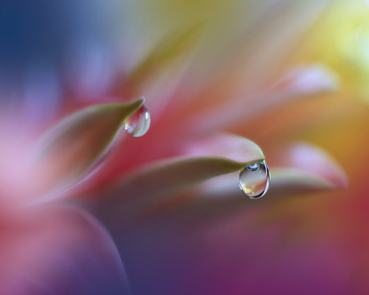 Sound Of Colors