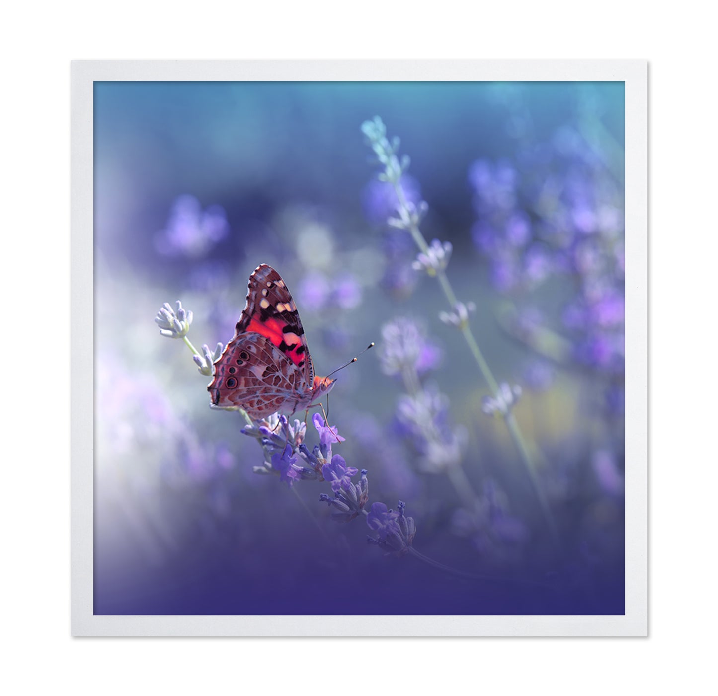 Queen of Flowers