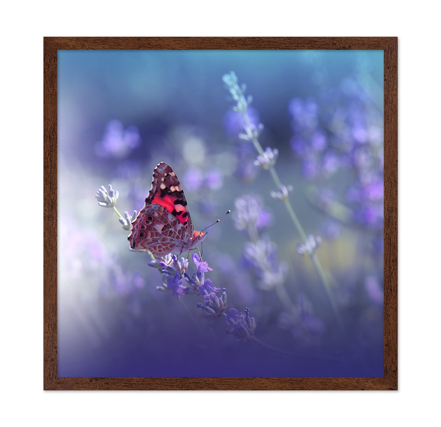 Queen of Flowers