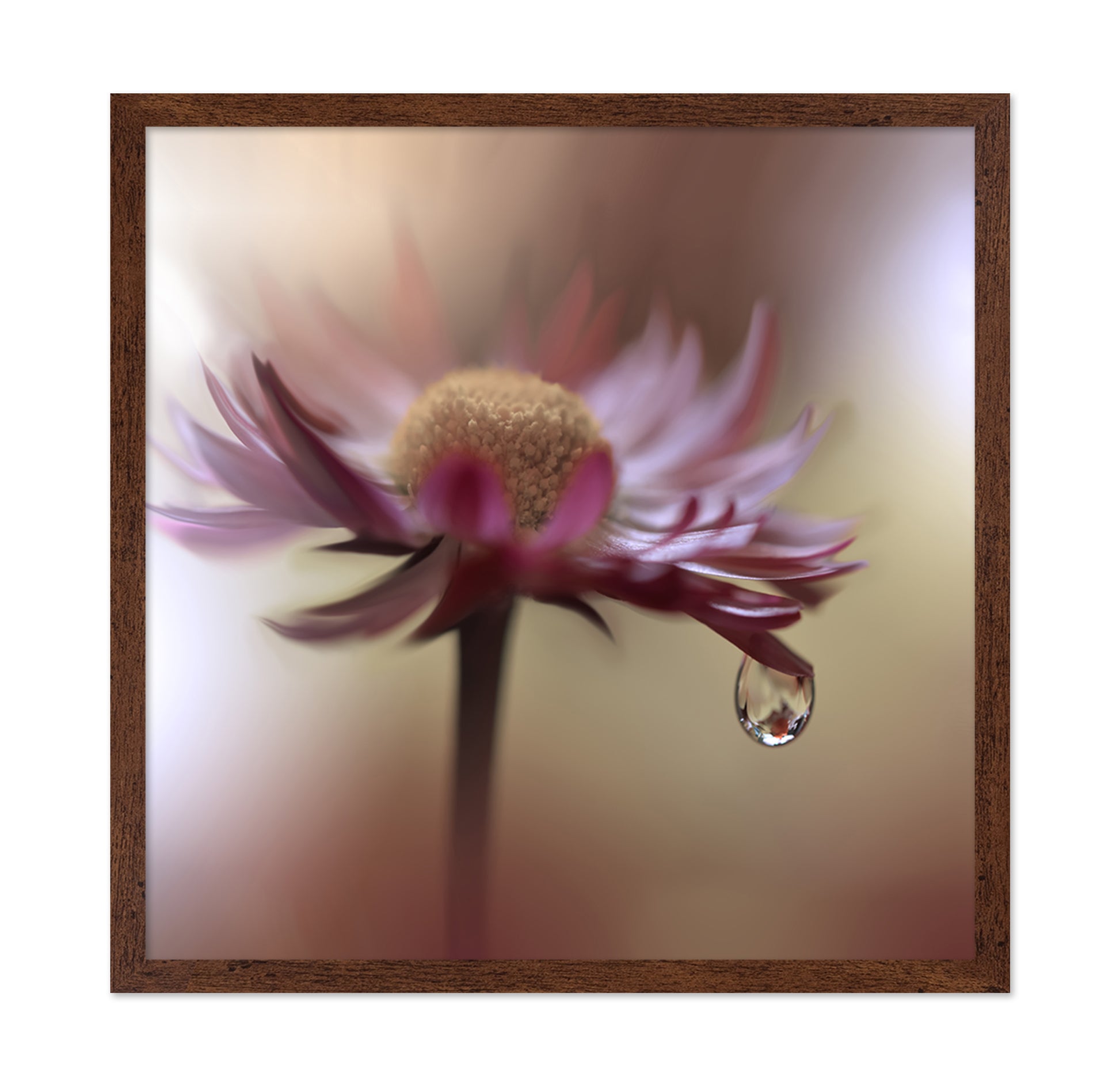 Tears Of Time