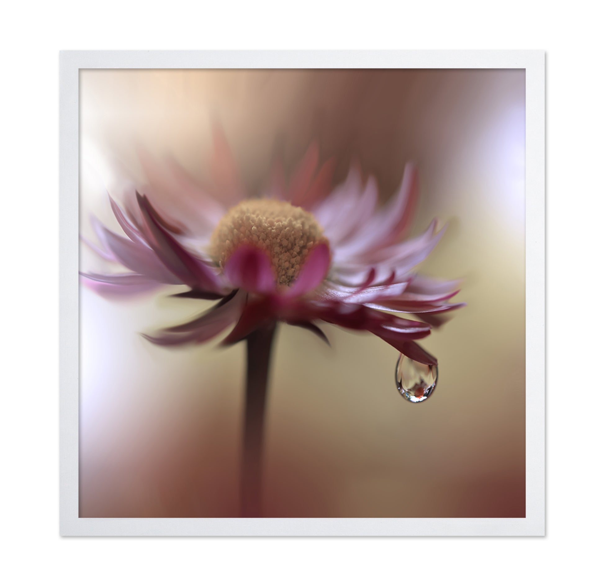 Tears Of Time